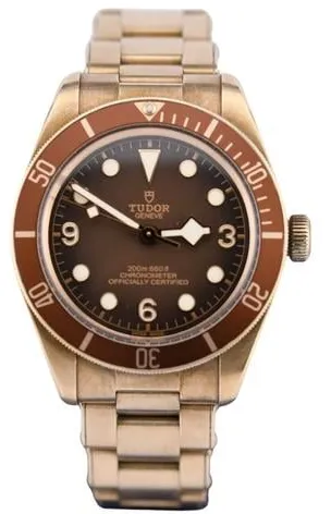 Tudor Black Bay M79012M-0001 39mm Bronze Brown