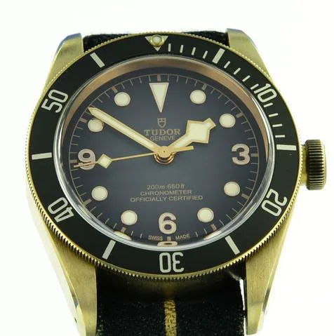 Tudor Black Bay 79250BA 43mm Bronze Gray 1