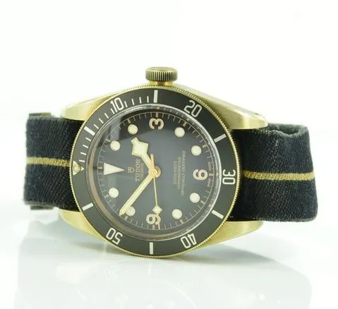 Tudor Black Bay 79250BA 43mm Bronze Gray 10