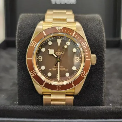 Tudor Black Bay M79012M-0001 39mm Bronze Brown