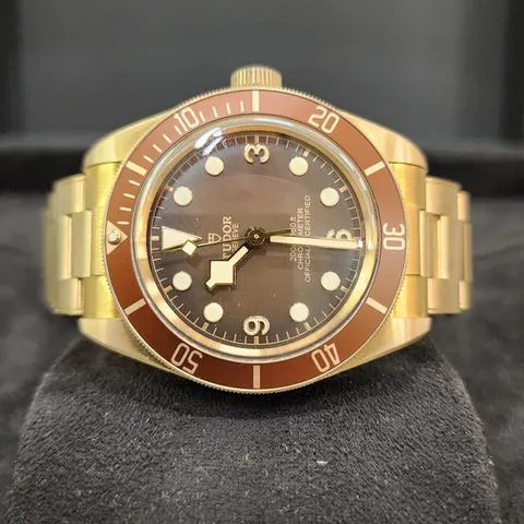 Tudor Black Bay M79012M-0001 39mm Bronze Brown 1