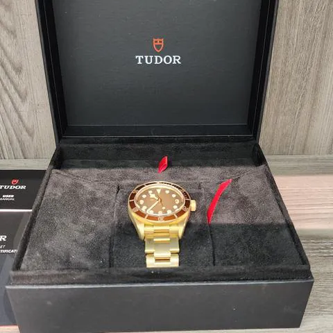 Tudor Black Bay M79012M-0001 39mm Bronze Brown 5