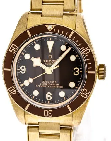 Tudor Black Bay M79012M-0001 39mm Bronze Brown