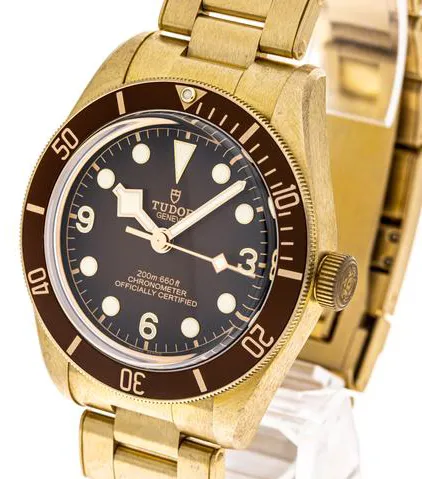 Tudor Black Bay M79012M-0001 39mm Bronze Brown 1