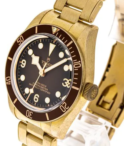 Tudor Black Bay M79012M-0001 39mm Bronze Brown 2