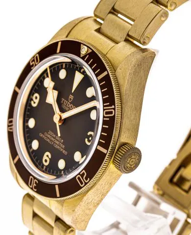 Tudor Black Bay M79012M-0001 39mm Bronze Brown 3