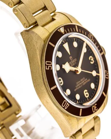 Tudor Black Bay M79012M-0001 39mm Bronze Brown 4