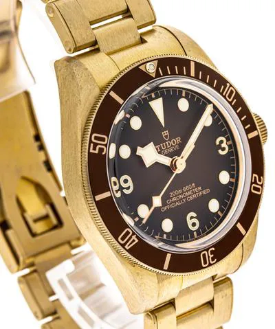 Tudor Black Bay M79012M-0001 39mm Bronze Brown 5