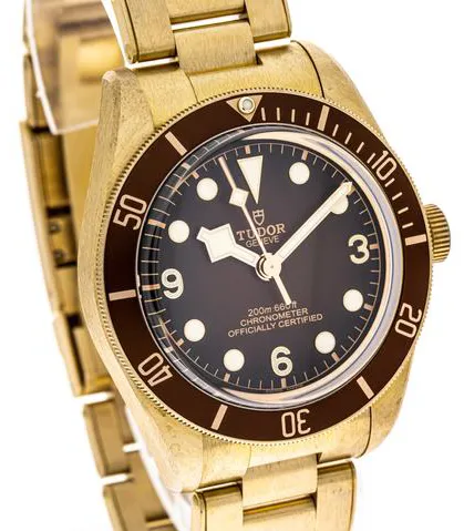 Tudor Black Bay M79012M-0001 39mm Bronze Brown 6