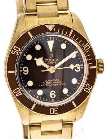 Tudor Black Bay M79012M-0001 39mm Bronze Brown 7