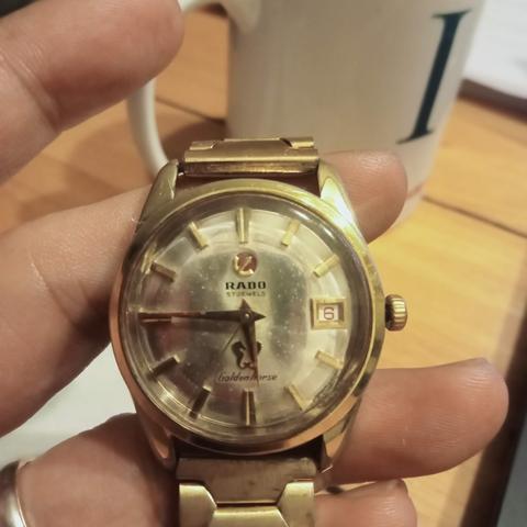 rado-golden-horse24485679.jpg
