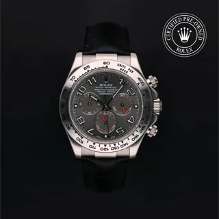 Rolex Daytona 116519-0163 White gold Gray