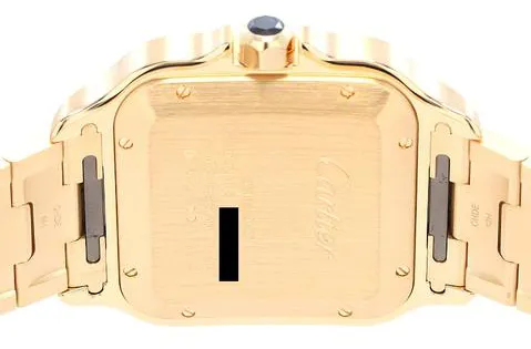 Cartier Santos WGSA0029 Yellow gold Silver 6