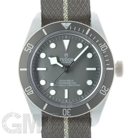 Tudor Black Bay 58 79010SG 39mm Silver Gray