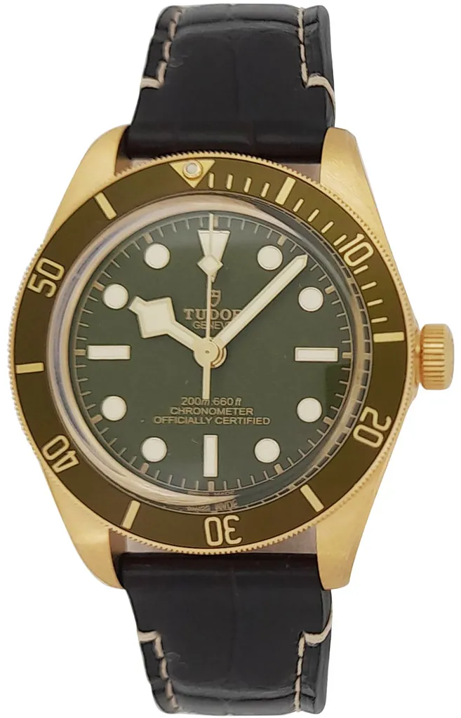 Tudor Black Bay M79018V-0001 39mm Yellow gold and Stainless steel Green