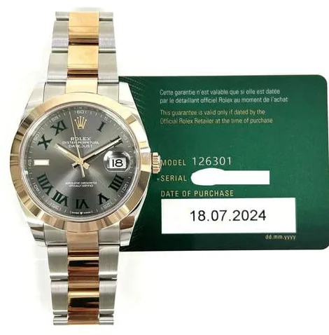 Rolex Datejust 41 126301 41mm Yellow gold and Stainless steel Gray