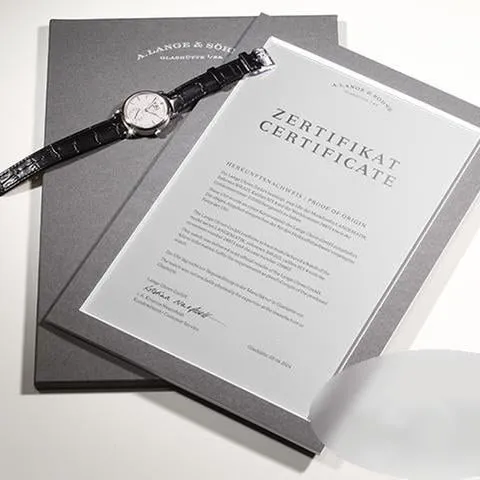 A. Lange & Söhne Langematik 308.025 37mm Platinum Silver 7