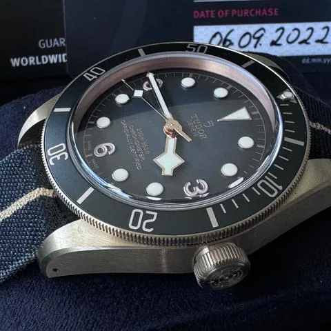 Tudor Black Bay 79250BA 43mm Bronze Gray 2