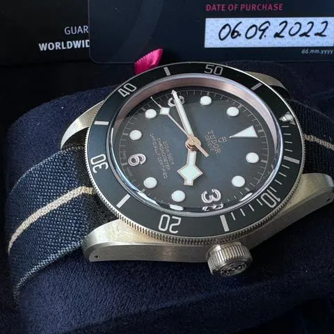 Tudor Black Bay 79250BA 43mm Bronze Gray 3