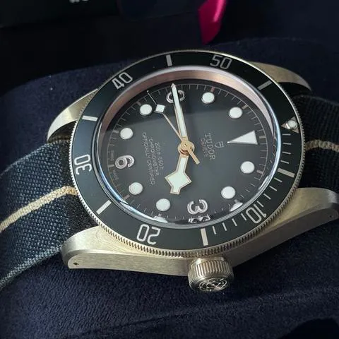 Tudor Black Bay 79250BA 43mm Bronze Gray 10