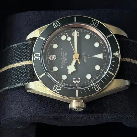 Tudor Black Bay 79250BA 43mm Bronze Gray 12