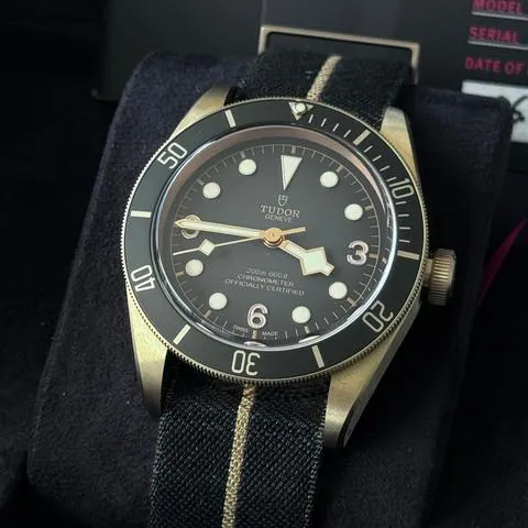 Tudor Black Bay 79250BA 43mm Bronze Gray 14