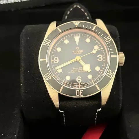 Tudor Black Bay 79250BA 43mm Bronze Gray