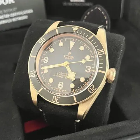 Tudor Black Bay 79250BA 43mm Bronze Gray 2