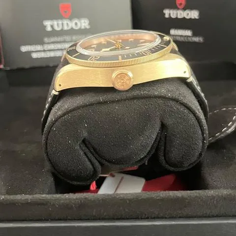 Tudor Black Bay 79250BA 43mm Bronze Gray 3