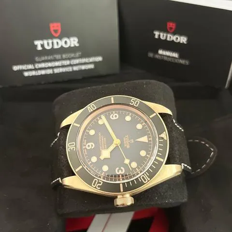 Tudor Black Bay 79250BA 43mm Bronze Gray 6