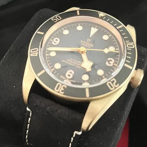 Tudor Black Bay 79250BA 43mm Bronze Gray 8