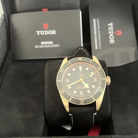 Tudor Black Bay 79250BA 43mm Bronze Gray 10