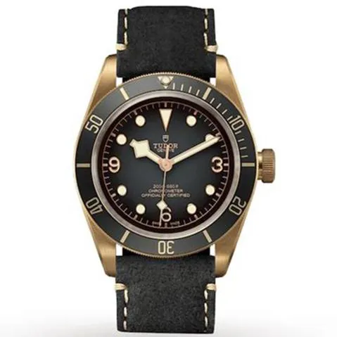 Tudor Black Bay 79250BA 43mm Bronze Gray 11