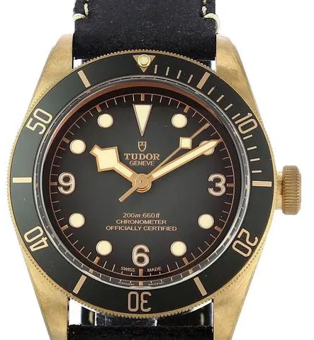 Tudor Black Bay 79250BA 43mm Bronze Gray