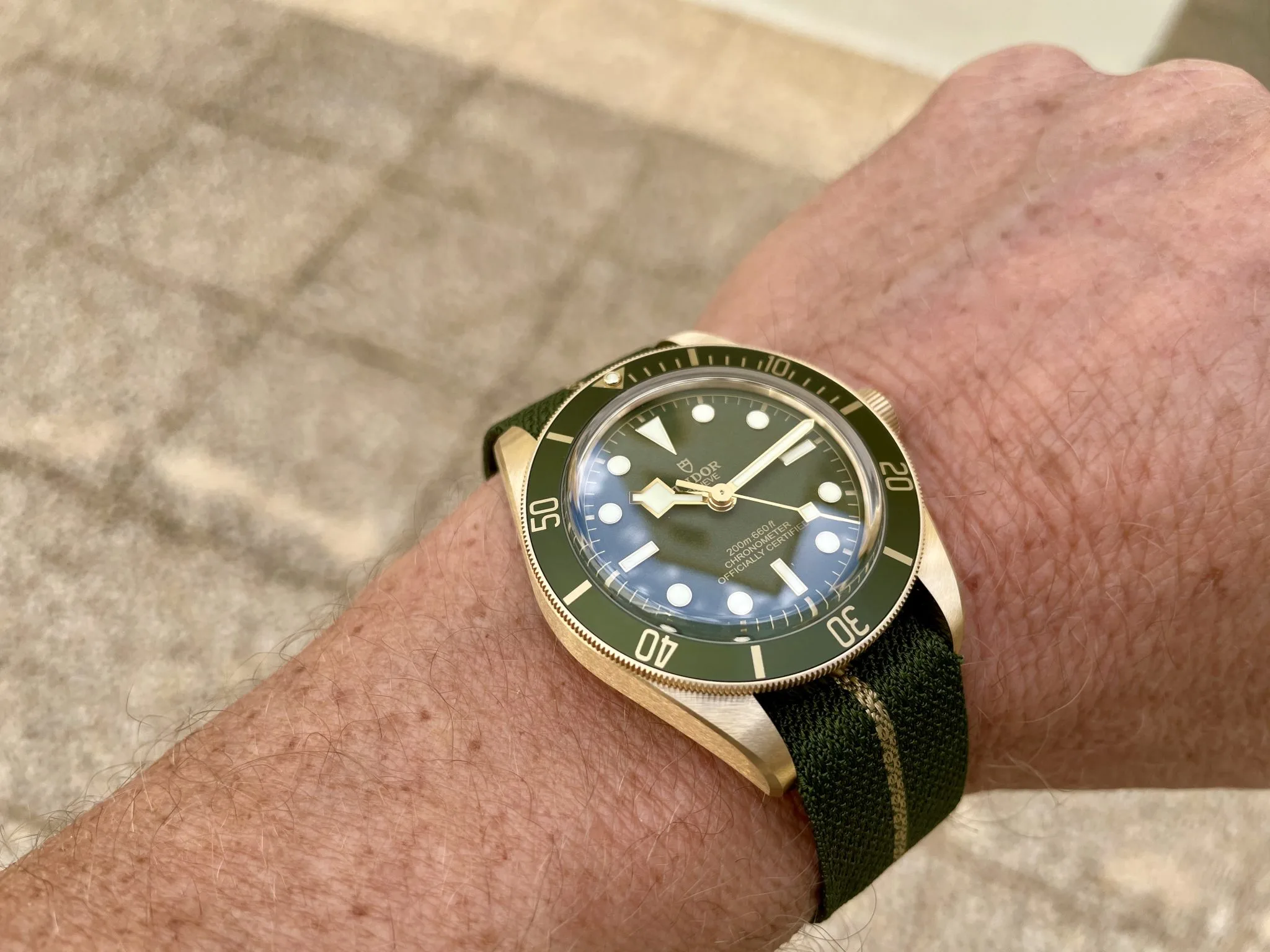 Tudor Black Bay M79018V Yellow gold 2