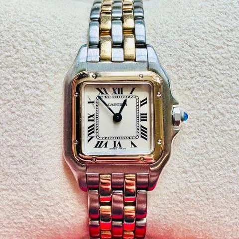 Cartier Panthère 166921 22mm Yellow gold and Stainless steel White