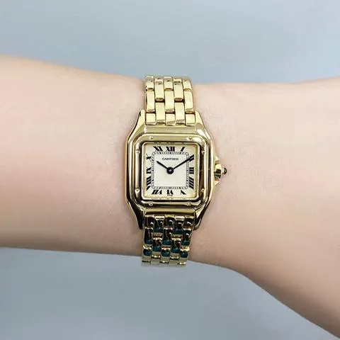 Cartier Panthère 22mm Yellow gold White 7