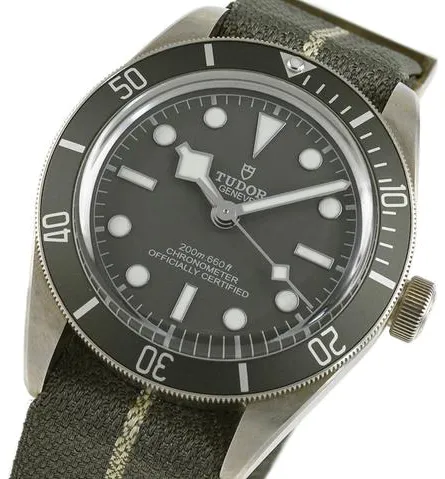 Tudor Black Bay 58 79010SG 39mm Silver Gray