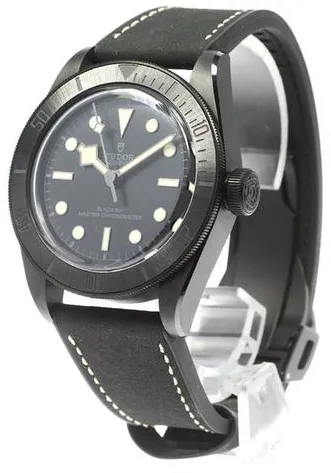 Tudor Black Bay 79210CNU 41mm Ceramic Black 2