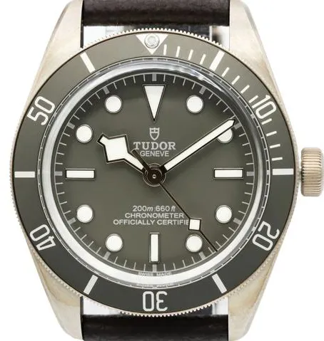 Tudor Black Bay 58 79010SG 39mm Silver Gray