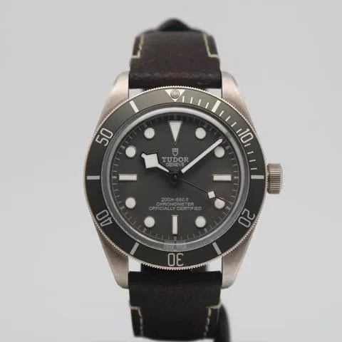 Tudor Black Bay 58 79010SG 39mm Silver Gray