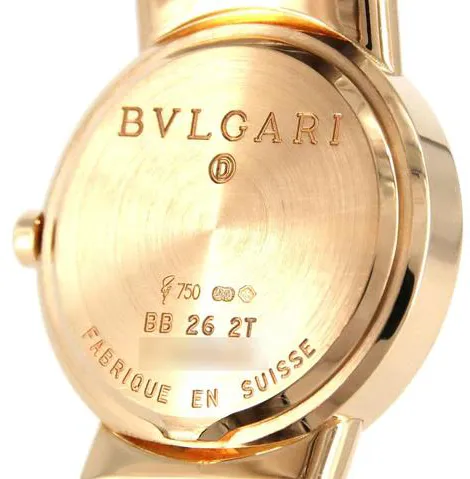 Bulgari Bulgari BB262T 26mm Yellow gold Black 5