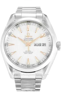 Omega Aqua Terra 231.10.43.22.02.003 Stainless steel Silver