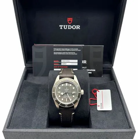 Tudor Black Bay 58 79010SG 39mm Silver