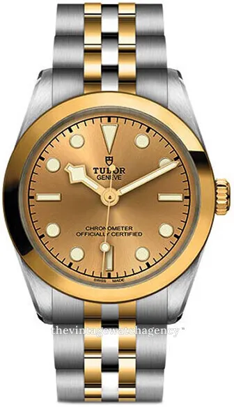 Tudor Black Bay M79603-0005 31mm Stainless steel Golden