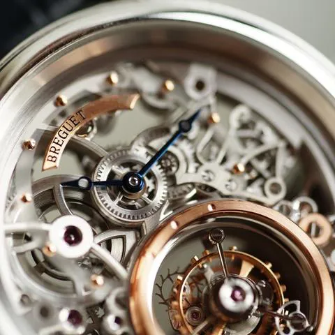 Breguet Classique Complications 5335PT/42/9W6 40mm Platinum Skeletonized 3