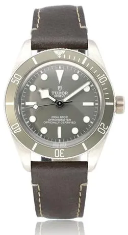 Tudor Black Bay 58 79010SG Silver