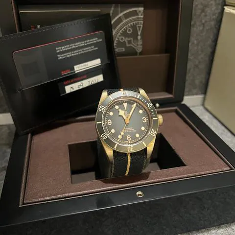 Tudor Black Bay 79250BA 43mm Bronze Gray 2