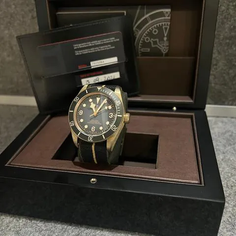 Tudor Black Bay 79250BA 43mm Bronze Gray 3