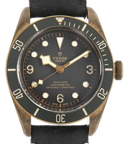 Tudor Black Bay 79250BA 43mm Bronze Gray